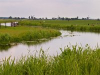 Winding canal  Winding canal in typical dutch landscape with windmills : Kaag en Braassem, Netherlands, Polder, Rijpwetering, Zuid Holland, agricultural, agriculture, boezem, canal, channel, cow, cows, creative nature, ditch, dutch, environment, field, green, historic, holland, kanaal, koe, koeien, landscape, landschap, management, mill, mills, molen, molens, nederland, open, river, rudmer zwerver, rural, sling, slinger, sloot, south, summer, vaart, vintage, water, waterschap, wind, windmill, windmolen, zuid